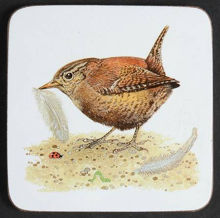 Garden Birds Square Corkback Coaster