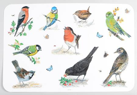 Garden Birds Plastic Placemat