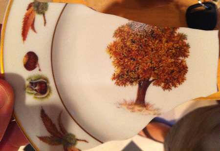 Nut Orchard by Rochard