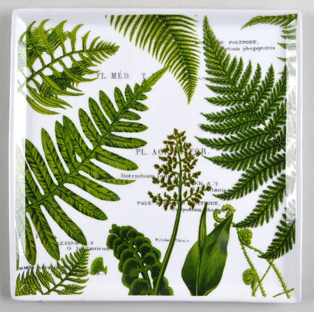 L'Orangerie 9" Square Tray