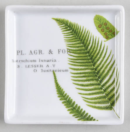 L'Orangerie Individual Dip Dish