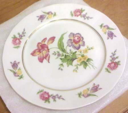RYD17 Dinner Plate