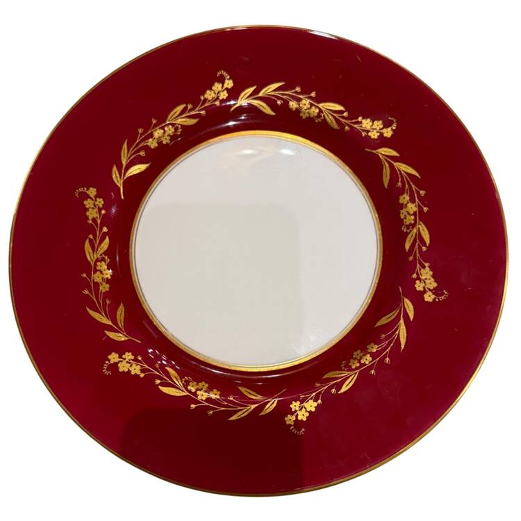 Z2489 Dinner Plate