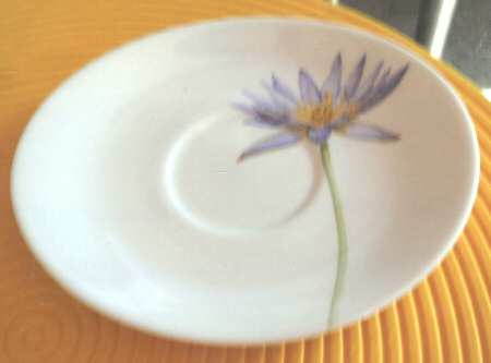 Lotus Saucer