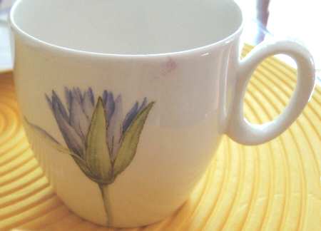 Lotus Flat Cup
