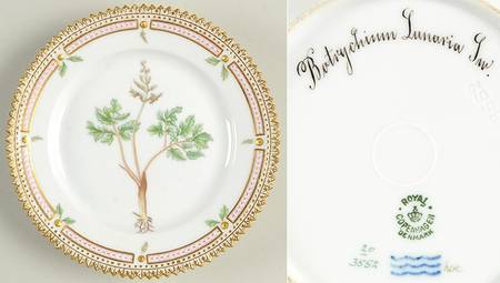 Flora Danica (1790 To 1960) Bread & Butter Plate-Botrychium Lunaria Lnv