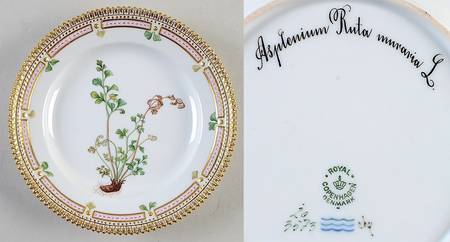 Flora Danica (1790 To 1960) Salad Plate-Asplenium Ruta muraria L