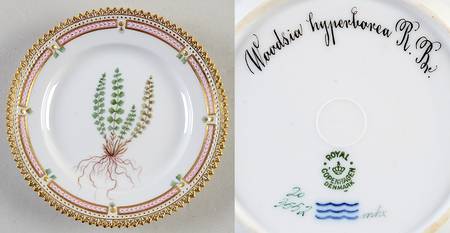 Flora Danica (1790 To 1960) Bread & Butter Plate-Woodisia hyperbarea R Bv.
