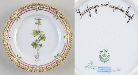 Flora Danica (1790 To 1960) Bread & Butter Plate-Saxifraga var Oxypetala engl.