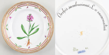 Flora Danica (1790 To 1960) Luncheon Plate Orchis sambucinus L oc incarnatus