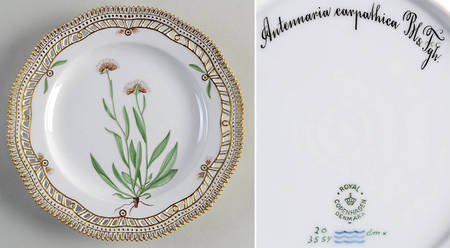 Flora Danica (1790 To 1960) 9" Pierced Luncheon Plate/Fruit Std-Antennaria car