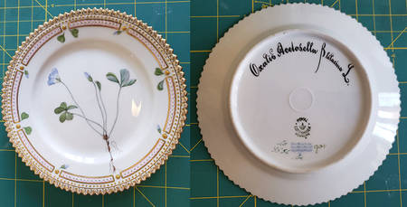 Flora Danica (1790 To 1960) Bread & Butter Plate-Oxalis Acetosella Blilacina L