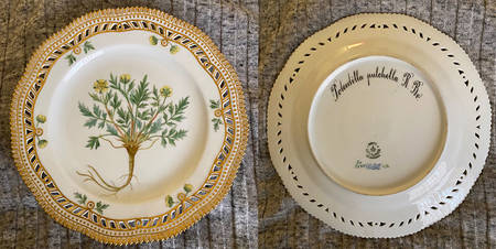 Flora Danica (1790 To 1960) 9" Pierced Luncheon Plate/Fruit Std-Potentilla pul