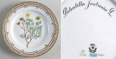 Flora Danica (1790 To 1960) Dinner Plate-Potentilla fruticosa L.