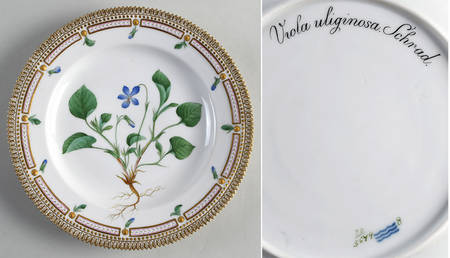 Flora Danica (1790 To 1960) Dinner Plate-Viola uliginosa Schrad