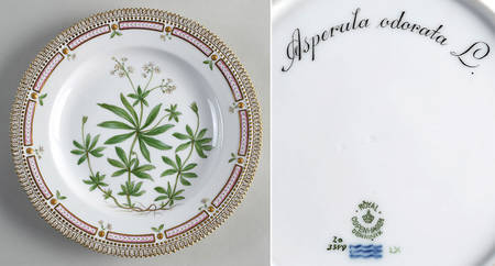 Flora Danica (1790 To 1960) Dinner Plate-Asperula adorata L.