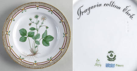Flora Danica (1790 To 1960) Dinner Plate-Fracaria collina Ehrb