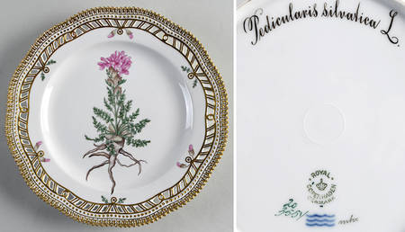 Flora Danica (1790 To 1960) 9" Pierced Luncheon Plate/Fruit Std-Pedicularis si