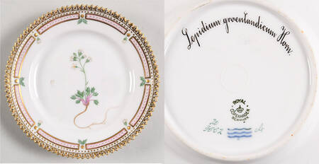 Flora Danica (1790 To 1960) Bread & Butter Plate-Lepidium groenlandicum Horn