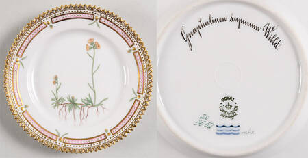 Flora Danica (1790 To 1960) Bread & Butter Plate-Gnaphalium supinum Willd