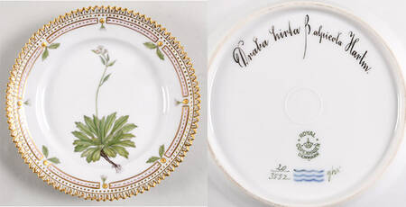 Flora Danica (1790 To 1960) Bread & Butter Plate-Draba hirla Balpicola Hartm