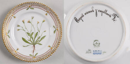 Flora Danica (1790 To 1960) Bread & Butter Plate-Crepis virens Y capillaris Fr
