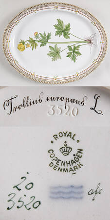 Flora Danica (1790 To 1960) 18" Oval Serving Platter-Trollius europaeus L