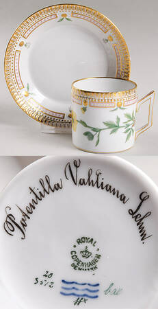 Flora Danica (1790 To 1960) Chocolate Cup & Smooth Saucer-Potentilla Vahliana