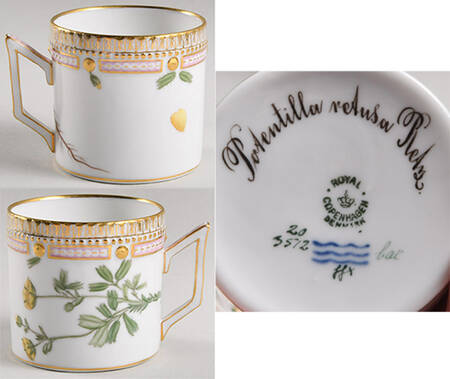 Flora Danica (1790 To 1960) Chocolate Cup-Potentilla retusa Retz.