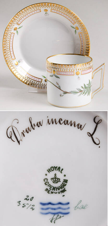 Flora Danica (1790 To 1960) Chocolate Cup & Smooth Saucer-Draba incana L.