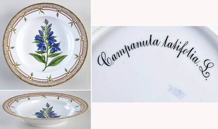 Flora Danica (1790 To 1960) Large Rim Soup Bowl