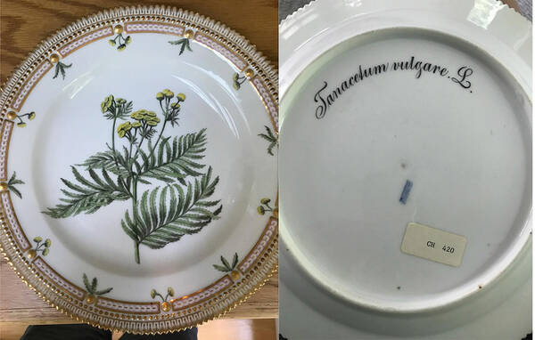 Flora Danica (1790 To 1960) Dinner Plate-Tanacetum vulgare L