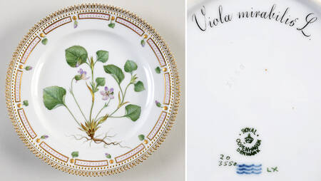 Flora Danica (1790 To 1960) Luncheon Plate Viola mirabilis L.