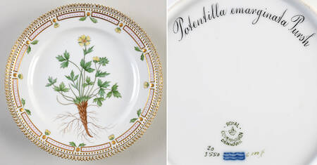 Flora Danica (1790 To 1960) Luncheon Plate-Potentilla emarginata Pursh.