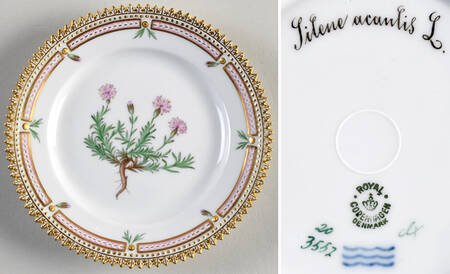 Flora Danica (1790 To 1960) Bread & Butter Plate-Sioene acanlis L.
