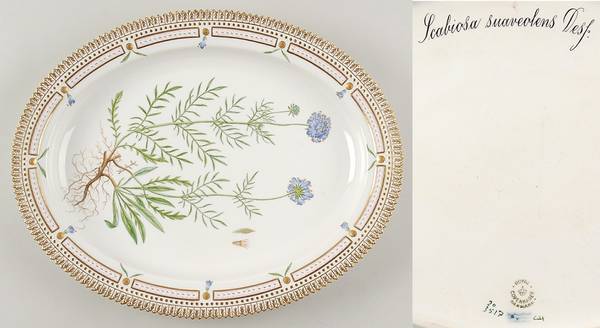 Flora Danica (1790 To 1960) 14" Oval Serving Platter-Scabiosa suaveolens Desf