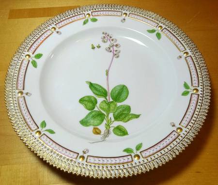 Flora Danica (1790 To 1960) Dinner Plate-Pyrola minor L.