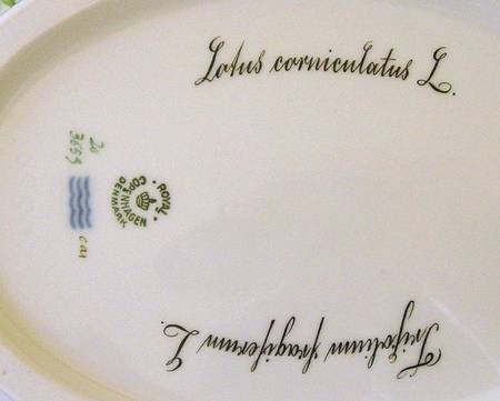 Flora Danica (1790 To 1960) 4Qt Oval Tureen No Lid-Lotus cornic, Trifalium fra