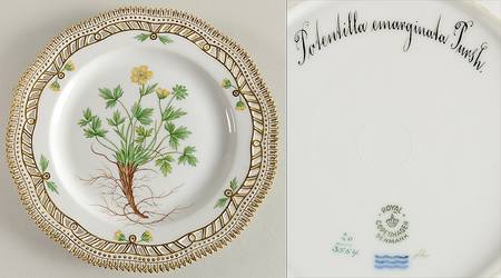 Flora Danica (1790 To 1960) 9" Pierced Luncheon Plate/Fruit Std-Potentilla ema