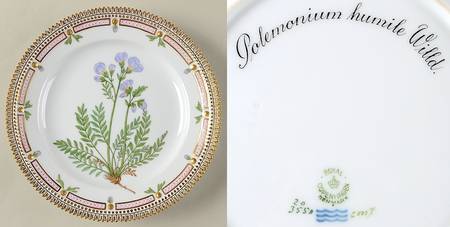Flora Danica (1790 To 1960) Luncheon Plate-Polemonium humile Willd