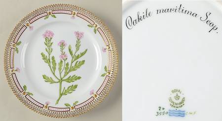 Flora Danica (1790 To 1960) Luncheon Plate-Cakile maritima Scop.