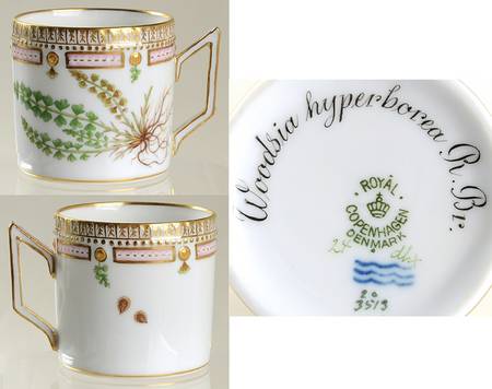 Flora Danica (1790 To 1960) Chocolate Cup-Woodsia hyperborea R. Br.