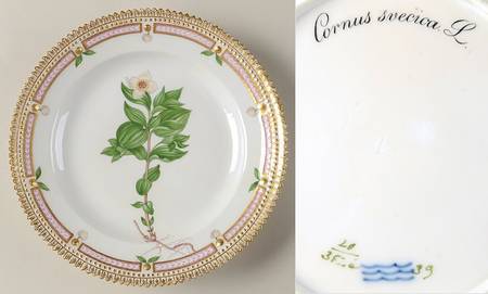 Flora Danica (1790 To 1960) Salad Plate-Cornus Sericea