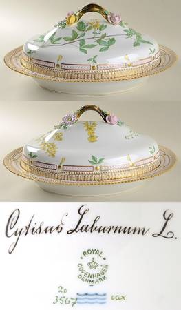 Flora Danica (1790 To 1960) Oval Covered Vegetable-Cytisus Laburnum L.