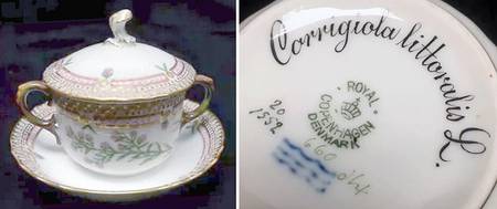 Flora Danica (1790 To 1960) Flat Bouillon Cup & Sacuer w/Lid-Corrigiola littor