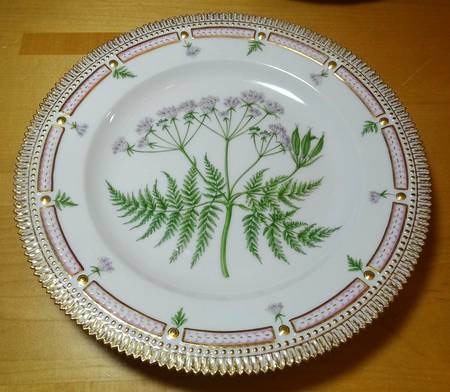 Flora Danica (1790 To 1960) Dinner Plate-Myrrhis adarata Scop.