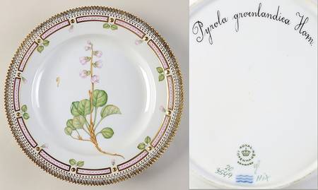 Flora Danica (1790 To 1960) Dinner Plate-Pyrola groeenlandica Horn.