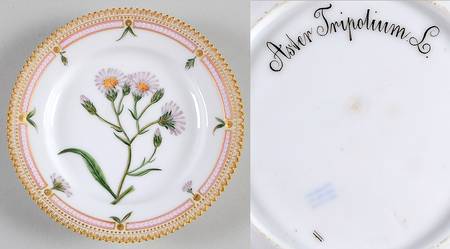 Flora Danica (1790 To 1960) Dessert/Pie Plate-Aster tripolium L.