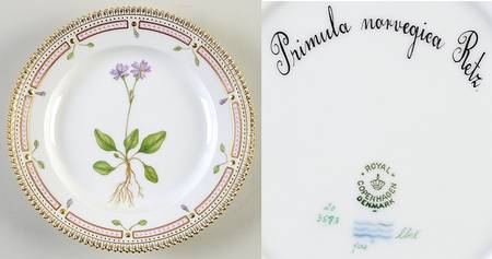 Flora Danica (1790 To 1960) Salad Plate-Potentilla norvegica Retz
