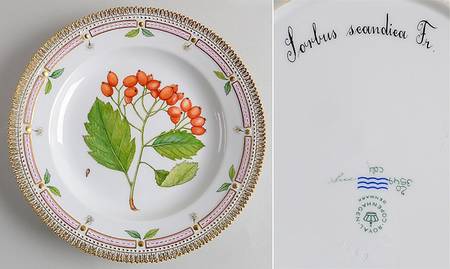 Flora Danica (1790 To 1960) Dinner Plate-Scorbus scandica Fr